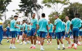 seleção brasileira de futebol ⚽